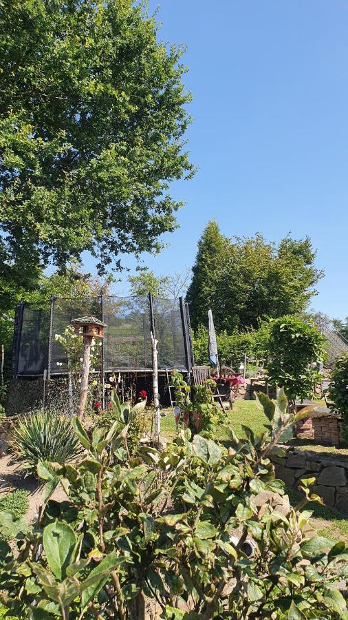Frankes Lodge Apartment Mit Garten Und Pool, 6 Einzelbetten, Parkplatz Essen Exterior foto